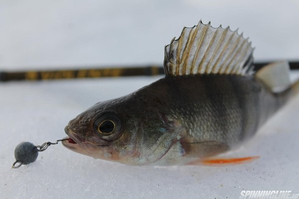 Изображение 1 : Рыбалка в республике Башкортостан