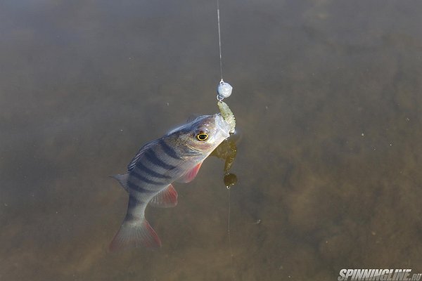 Изображение 1 : Рыбалка в республике Башкортостан